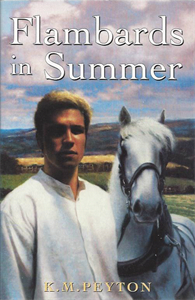 Picture of Flambards in Summer