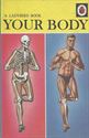 Picture of Your Body