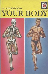 Picture of Your Body