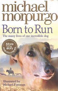 Picture of Born to Run