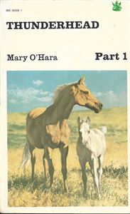 Picture of Thunderhead (part 1)