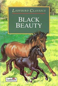 Picture of Black Beauty