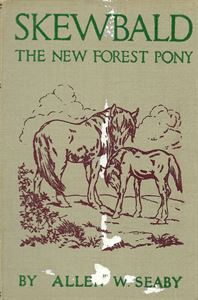 Picture of Skewbald the New Forest Pony