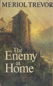 Picture of The Enemy at Home