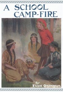 Picture of A School Camp Fire