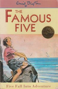 Picture of Five Fall Into Adventure