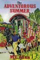 Picture of The Adventurous Summer