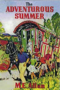 Picture of The Adventurous Summer