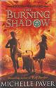Picture of The Burning Shadow