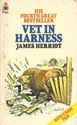 Picture of Vet in Harness