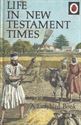 Picture of Life in New Testament Times