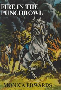 Picture of Fire in the Punchbowl