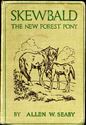Picture of Skewbald The New Forest Pony