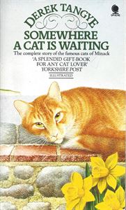 Picture of Somewhere A Cat Is Waiting